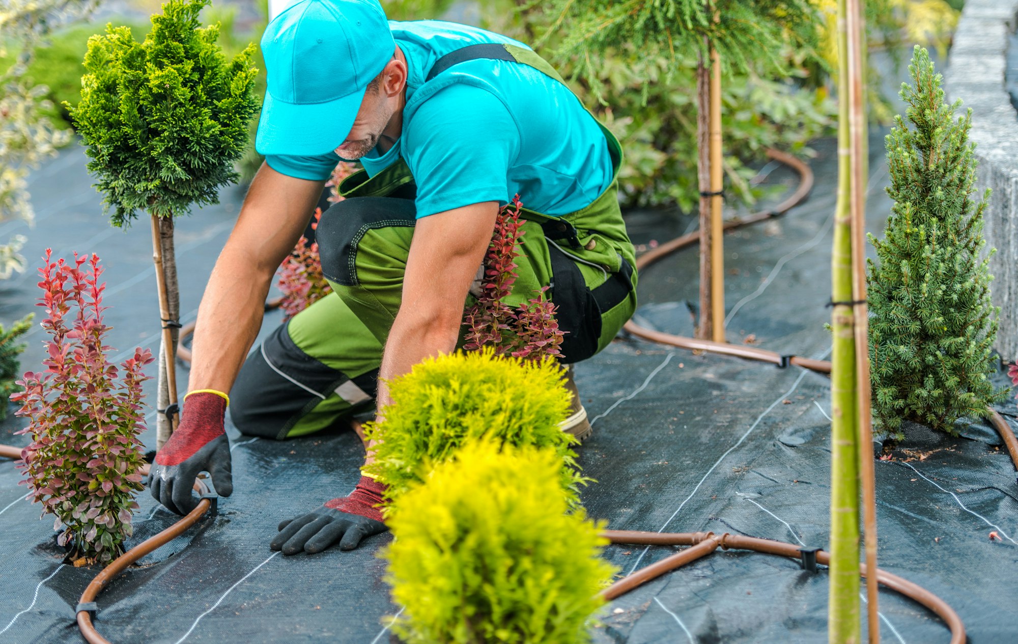 Is Hiring Landscapers Worth It? Weighing the Benefits for Your Property